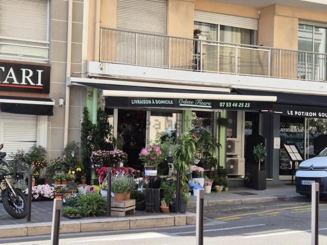 Bureau vente à Carras, Nice