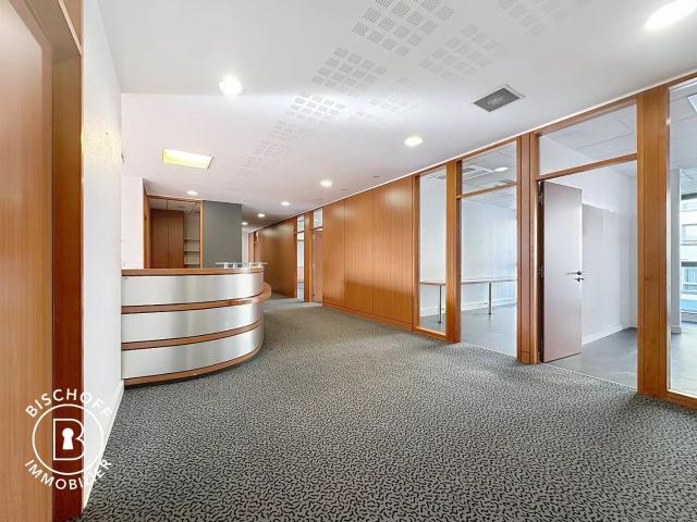 Bureau vente à Mulhouse, Saint-louis