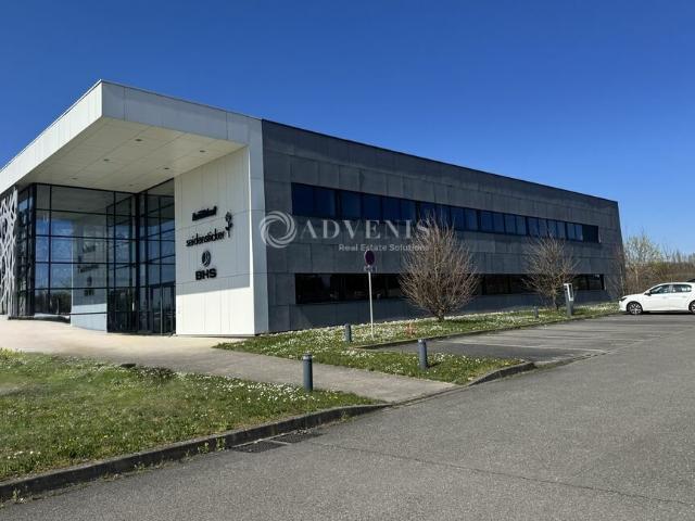 Bureau location à Haguenau-Wissembourg, Bernolsheim