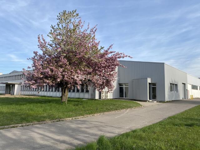 Bureau location à Strasbourg, Geispolsheim