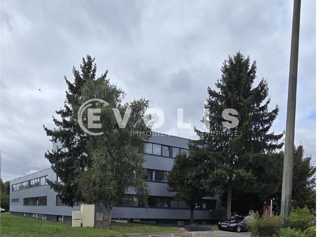 Local Commercial location à Palaiseau, Les Ulis