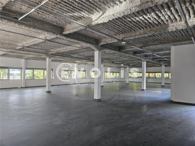 Local Commercial location à Palaiseau, Les Ulis