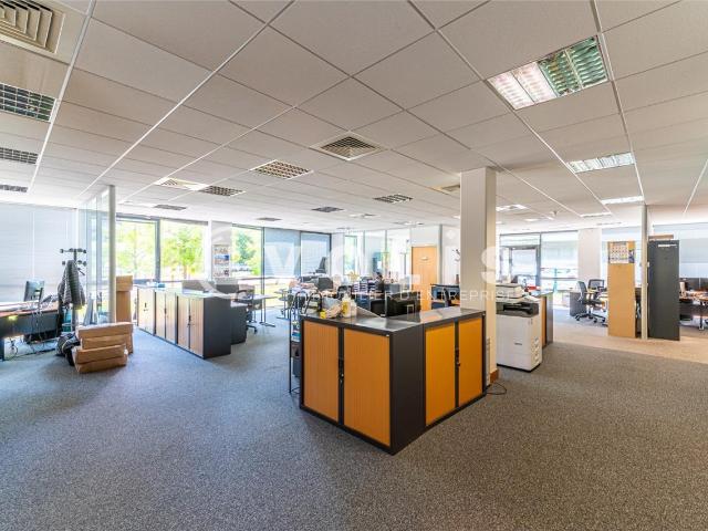 Bureau location à Torcy, Serris