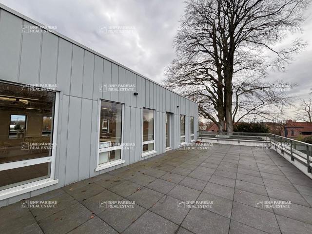 Bureau location à Lille, Villeneuve-d'ascq
