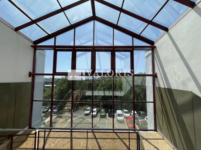 Bureau vente à Lyon, Métropole de Lyon