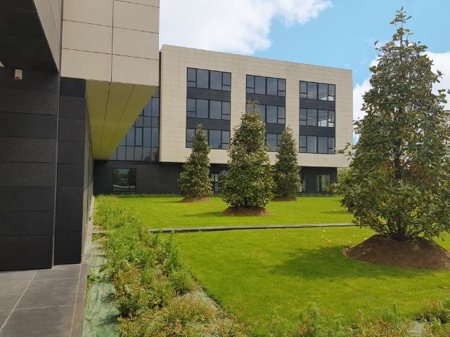 Bureau vente à Torcy, Jossigny