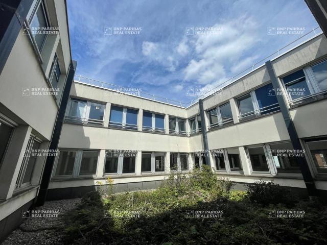 Bureau vente à Lille