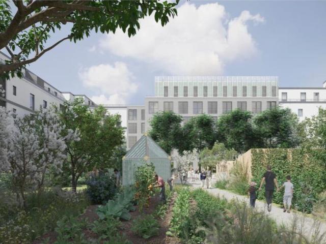 Bureau vente à Lyon, Métropole de Lyon