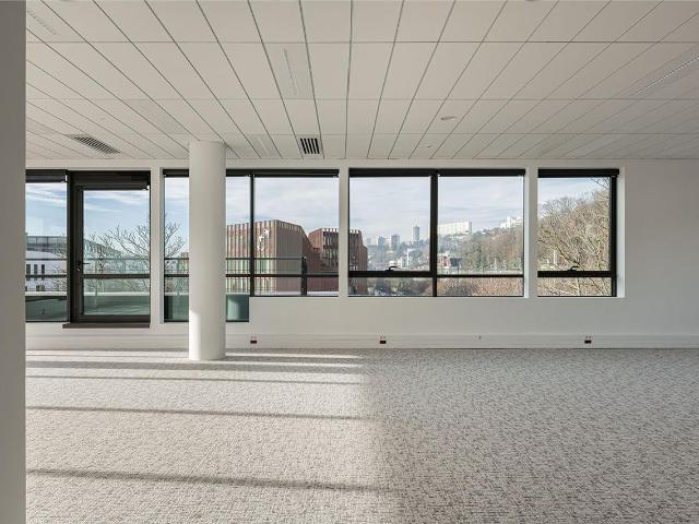 Bureau vente à Lyon, Métropole de Lyon