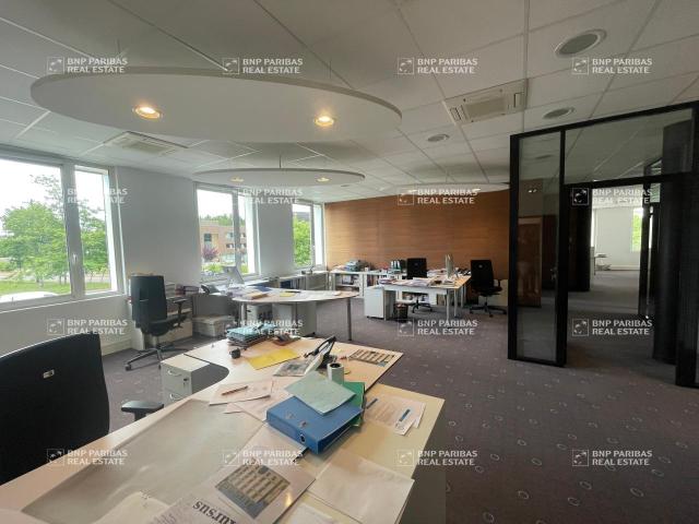 Bureau vente à Orléans, Olivet