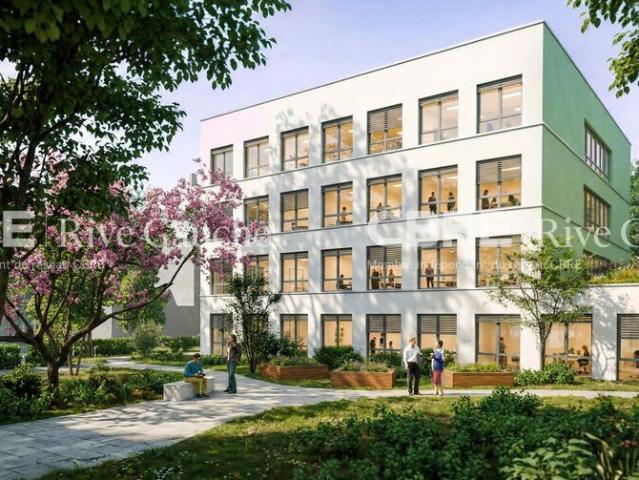 Bureau vente à Strasbourg, Bischheim