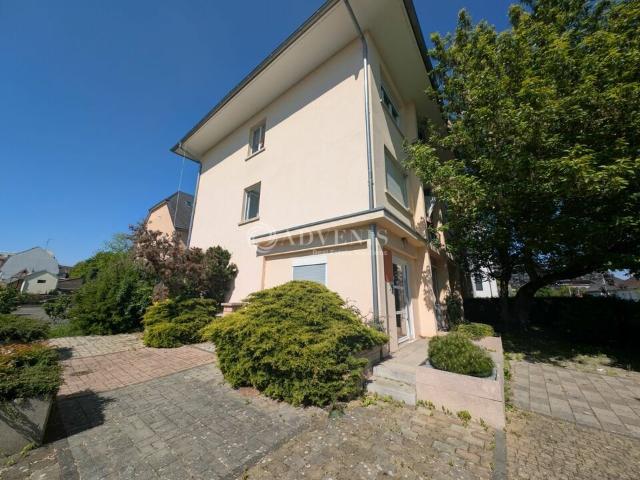 Bureau vente à Strasbourg, Hoenheim