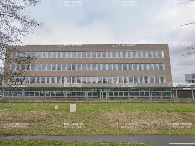 Bureau vente à Lille, Villeneuve-d'ascq