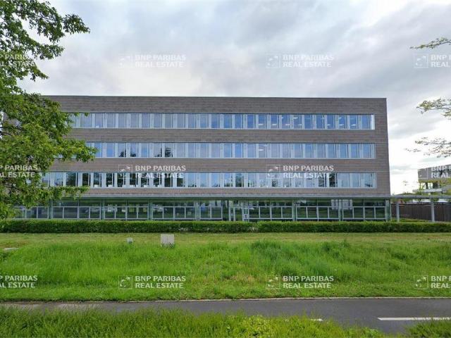 Bureau vente à Lille, Villeneuve-d'ascq