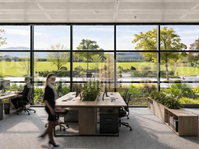 Büro mieten in Collonge-Bellerive
