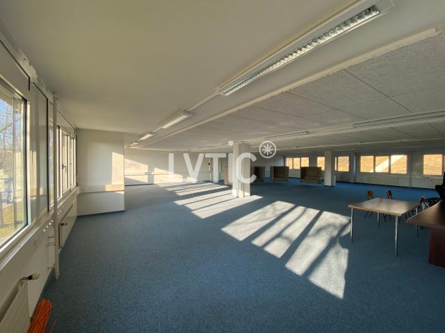 Büro mieten in Crissier, Waadt