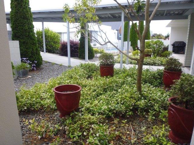 Apartment for rent in Omokoroa, Bay Of Plenty