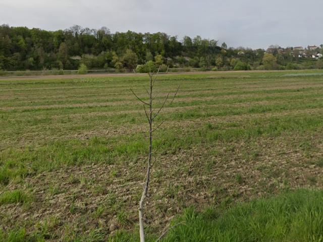 Landwirtschaft kaufen in Burghausen, Bayern