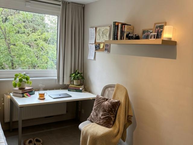 Kamer location à Courtrai, West-Vlaanderen