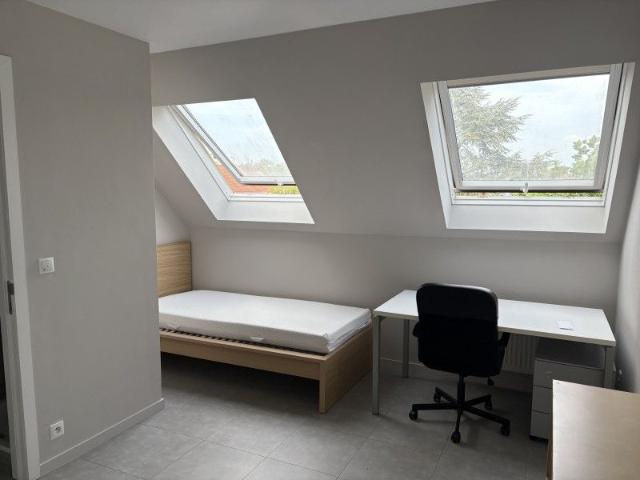Kamer location à Courtrai, West-Vlaanderen