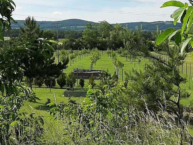 Gewerbe kaufen in St. Margarethen im Burgenland, Burgenland