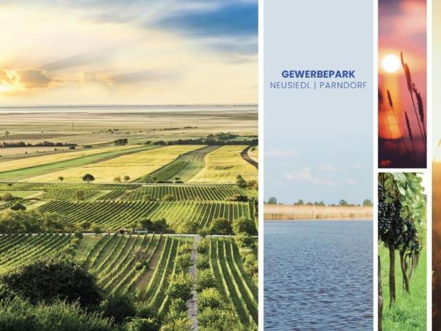 Gewerbe mieten in Neusiedl am See, Burgenland