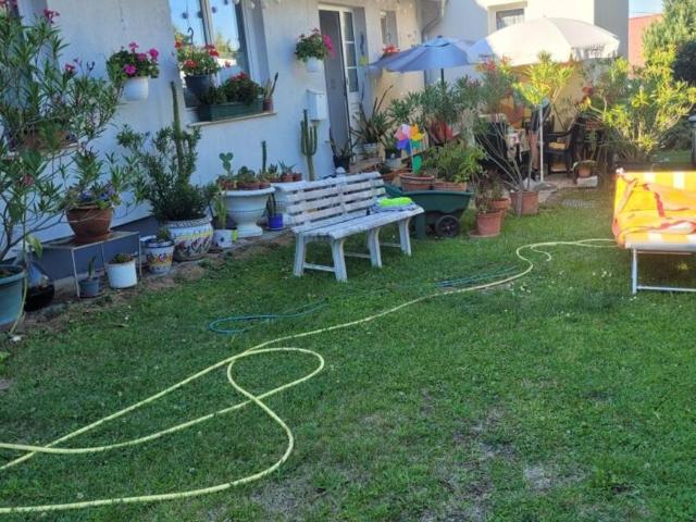 Haus kaufen in Sankt Nikolaus, Güssing