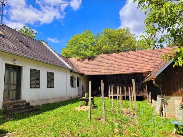 Haus kaufen in Kemeten