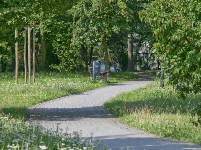 Apartment mieten in Westliche Neustadt, Halle (Saale)