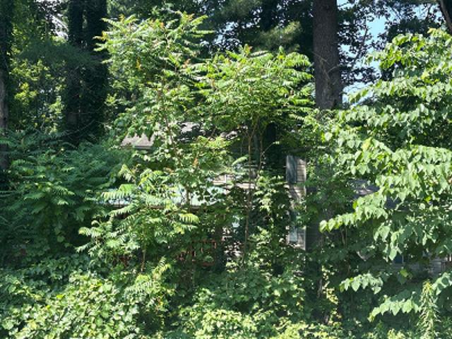 House for sale in Saratoga, New York