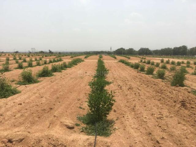 Land for sale in Ranga Reddy, Telangana