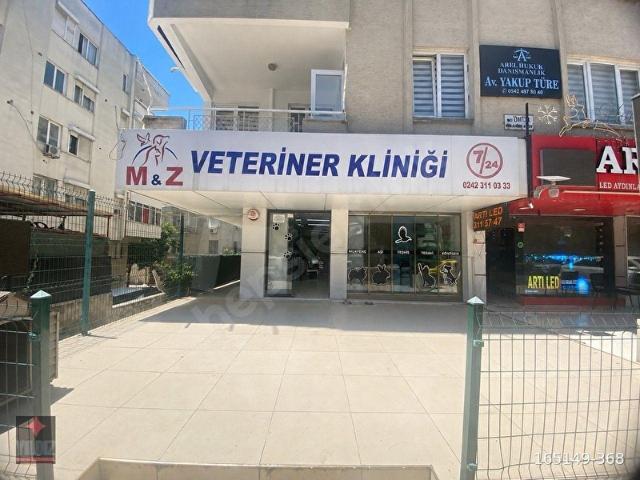 Muratpaşa, Antalya içerisinde satılık mülk