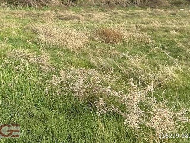 Burhaniye, Balikesir içerisinde satılık Arsa