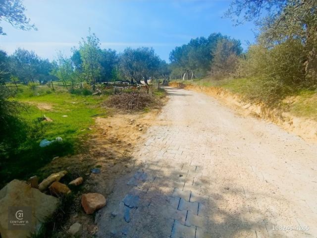 Burhaniye, Balikesir içerisinde satılık mülk