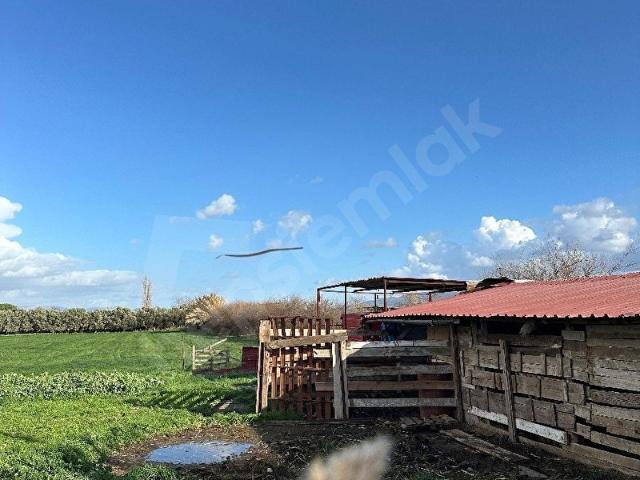 Burhaniye, Balikesir içerisinde satılık Fabrika