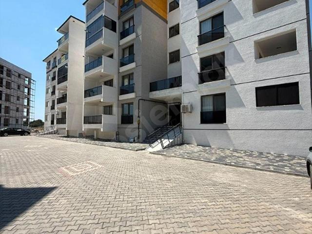 Burhaniye, Balikesir içerisinde satılık mülk