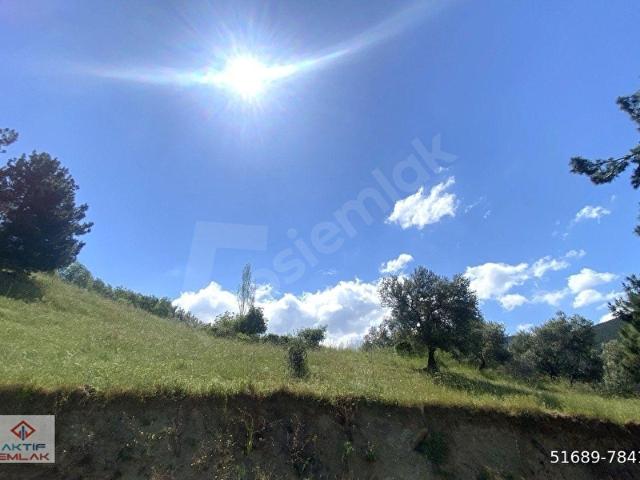 Burhaniye, Balikesir içerisinde satılık Arsa