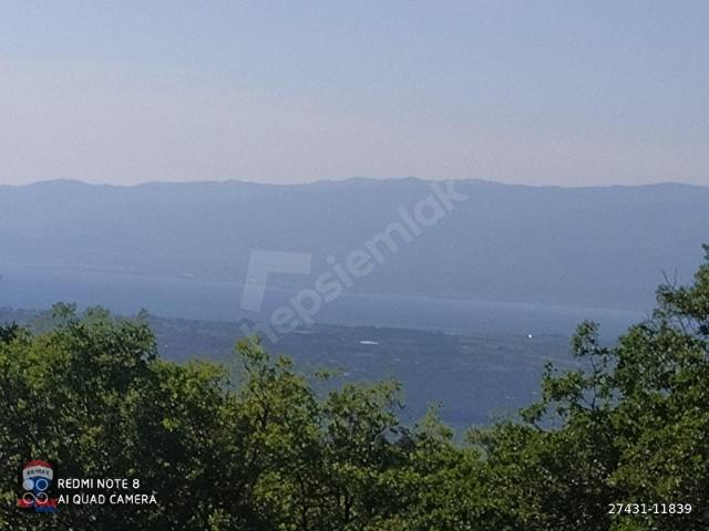 Burhaniye, Balikesir içerisinde satılık Arsa
