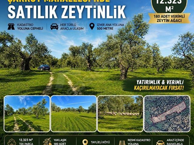 Burhaniye, Balikesir içerisinde satılık mülk
