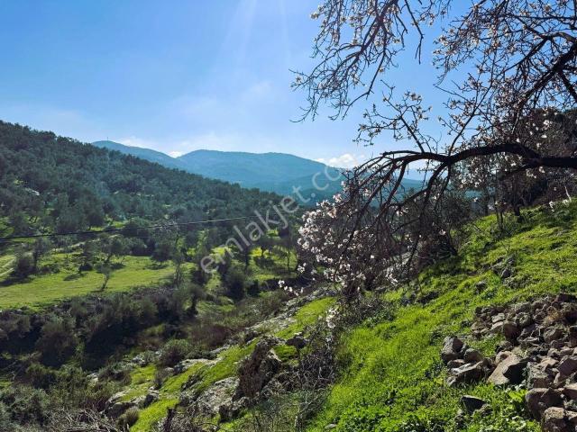 Burhaniye, Balikesir içerisinde satılık Villa