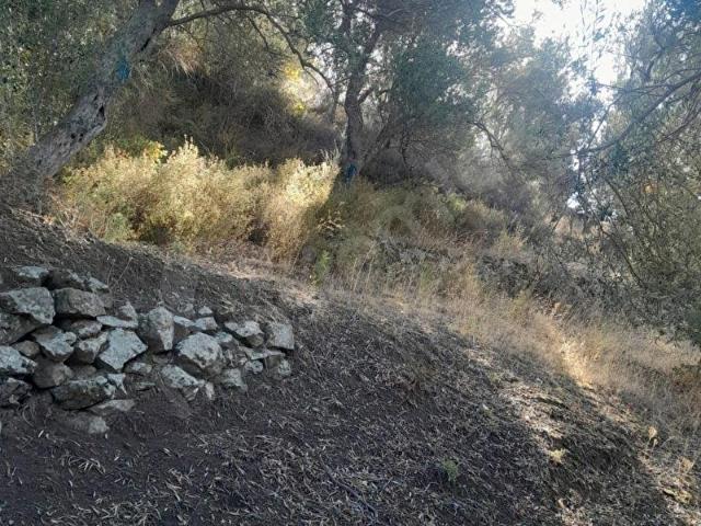 Burhaniye, Balikesir içerisinde satılık Arsa
