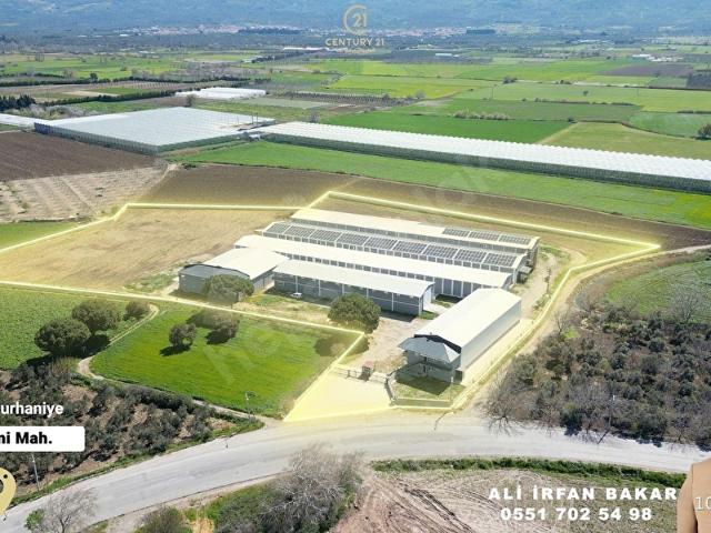Burhaniye, Balikesir içerisinde satılık Depo