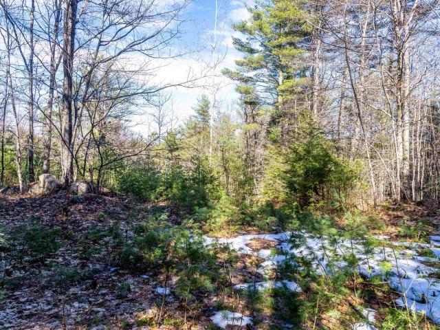 Land for sale in New Hampshire