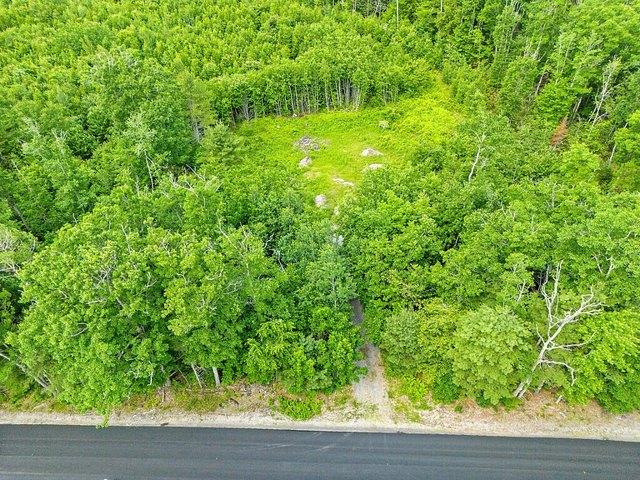 Land for sale in Appleton, Maine
