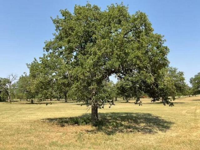 Land for sale in Johnson, Texas