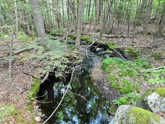Land for sale in Burlington, Maine