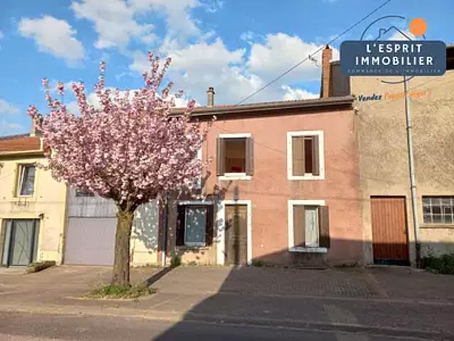Maison vente à Sarrebourg-Château-Salins, Burlioncourt
