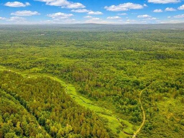 Land for sale in Waldo, Maine