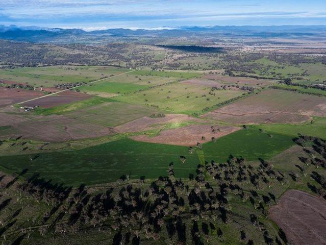 Cottage for sale in Ardglen, New South Wales