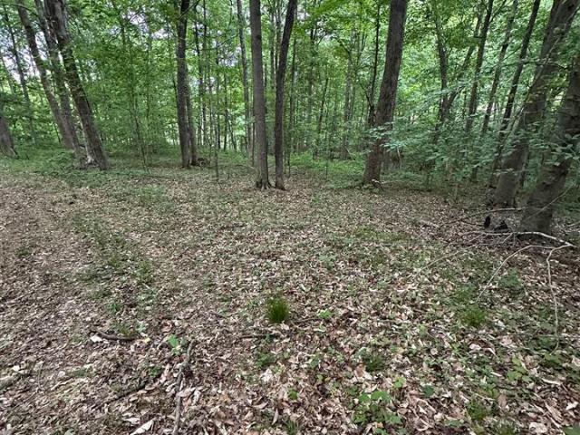 Land for sale in Adolphus, Kentucky